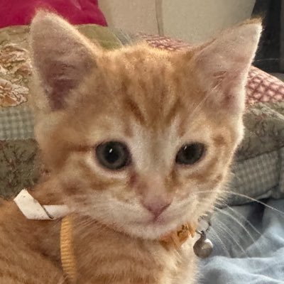 rakmimi05's profile picture. 19!! repost OK with credit