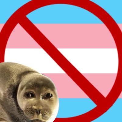 stop mutilating yourselves ough #sealtwt