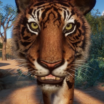 #Planet Zoo gamer.
Big cat lover.
Tiger psychofan.
Conservation supporter.
Currently busy on virtual Tiger reserve project (Bulding landscapes and Habitat).