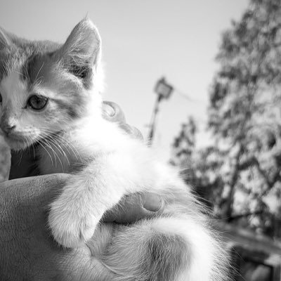 usr_g21's profile picture. 