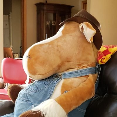 LEGE99644102's profile picture. 