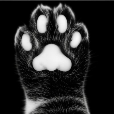 netaMEMOcho77's profile picture. 日常で思いついたくだらないダジャレやギャグをただメモするだけのアカウント。誰かに見せるためじゃない。自分のための備忘録。たまに見返して自分で笑う。