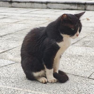 lisean7393314's profile picture. 
