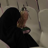 . (@ojwsi0) 's Twitter Profile