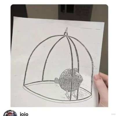 DNA_X7's profile picture. I love logic, facts, truth, justice, science, creativity and beauty. Every work I undertake, I try my best to convey these attributes in them.