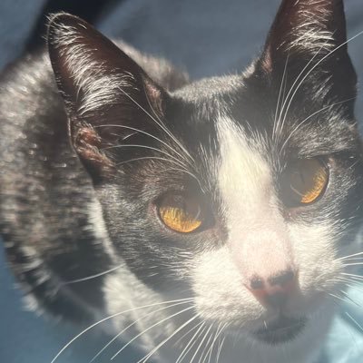 imretiringbrb's profile picture. real love aficionado