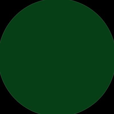 🇸🇦