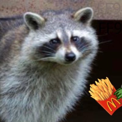 dudewersmytrash's profile picture. 