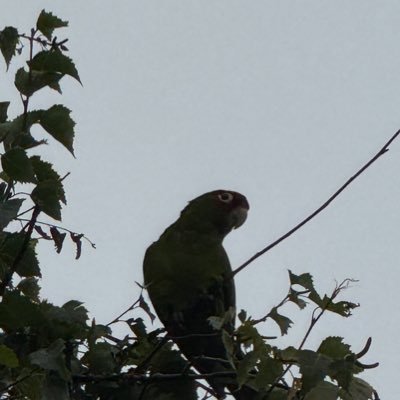 1radyr's profile picture. just a leftist shitposting into the void👍