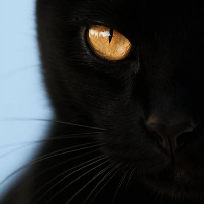 visitor_V1990's profile picture. WE SAID IT THEN : WE SAY IT NOW : #NEVERAGAIN RT ≠ ENDORSEMENT 🚫DM’s🚫