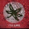 colbyjohn82's profile picture. Ohio State Football