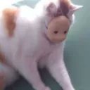 CudaxX16135's profile picture. 