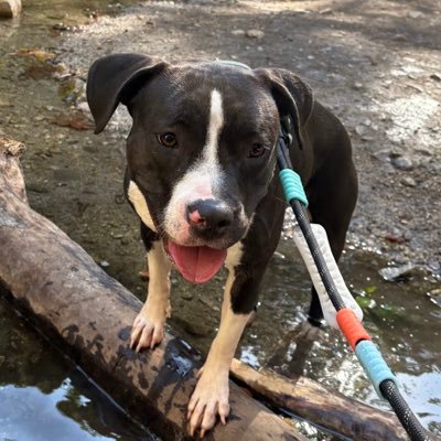 spicy_cloud3's profile picture. 22