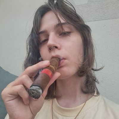 Artiste contradictoire : Catho lgbTqi+ fan de cigare ✝️🏳️⚧️ a ses heures pas particulièrement perdues...
''sale gauchiasse''