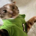 LunarEclip32187's profile picture. 