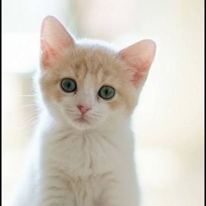 solanapumper01's profile picture. Alpha celler #memecoins #cryptocurrency shill me your 100x Gems 💎 coin promoter 💯💎|| Entry call poster 💯🚀