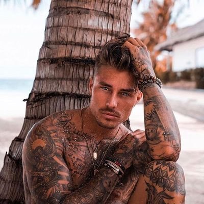 sheepdylan's profile picture. aquí pones ingenio