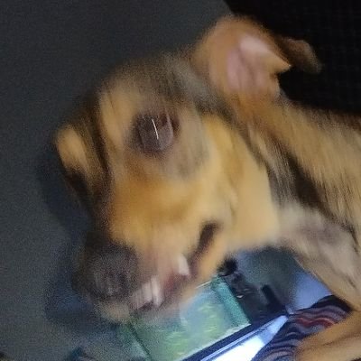Sou professor e sou físico, gosto muito de animais, pokémon, astronomia e filmes bora
he/him.