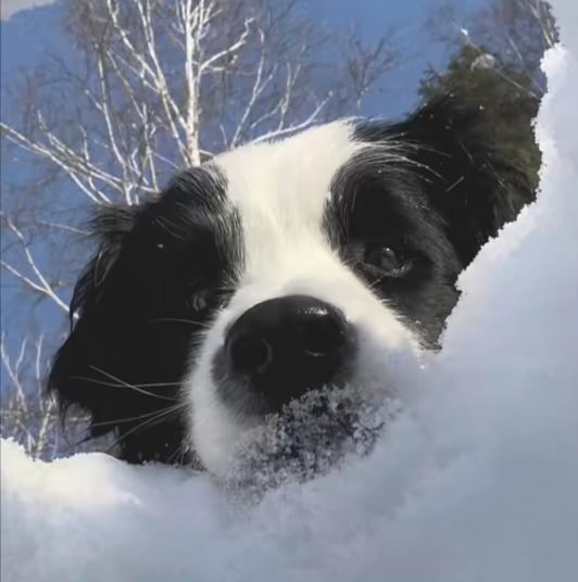 Uvwirkug59823's profile picture. 