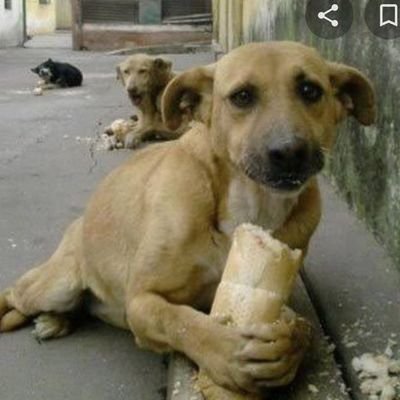 AzraaBuse's profile picture. 🇹🇷

I suffer this dirty life just to be from Ankara.

( You have a place in my heart, america)