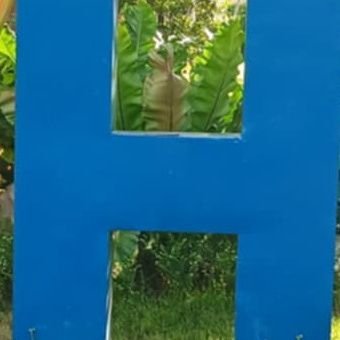 ShibaNFT_Arrow's profile picture. #BESC