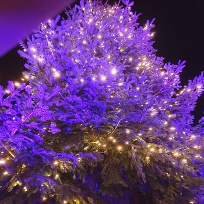 OllumThe24687's profile picture. 