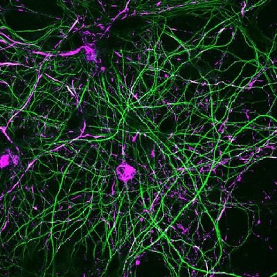 nullbiloba's profile picture. 20+ sewn up, redirected, recirculated without release, denied, contained, swirling within. all that *I* am moves across its surface, all that I am dwells within