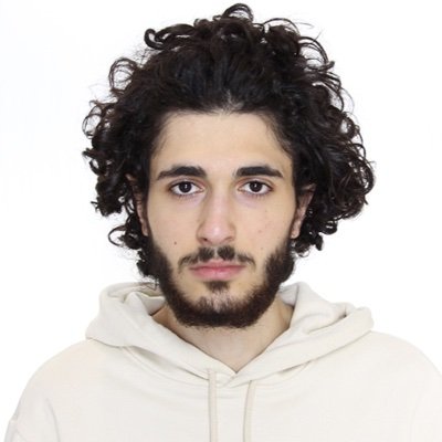 Political Science MA student, University of Mannheim