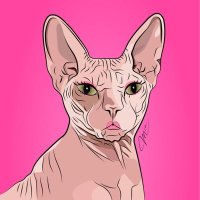 OFFICIAL $MIA COINSUPPORT TEAM (@miapumpit_sol) 's Twitter Profile