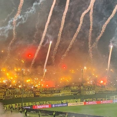 zowww91's profile picture. 