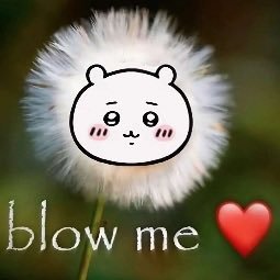 i need fent @skiatzo
