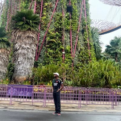 mo1se_'s profile picture. Behind her eyes