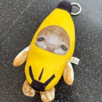 ミ★ 𝘒𝘢𝘺𝘰 ★彡 (@kayodiary) 's Twitter Profile