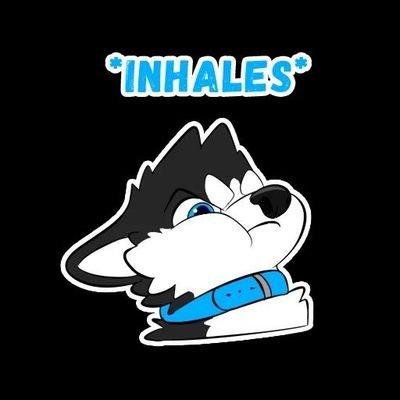 20! Artist & rainbow horse/fox girl
*🦄🦊✨🌟
Fursuit content + art I make! :)
🔜, TFS