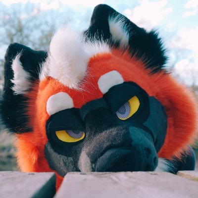 zee • they/them • 22 • IA ➡️ MI ➡️ NM • @gnaws suiter • 18+ @zeeznutz