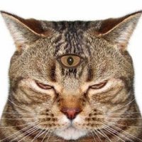 s2iren (@s2irens) 's Twitter Profile