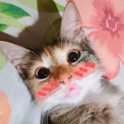 Survinx_02's profile picture. No soy el espectador, ni el protagonista solo el antagonista...