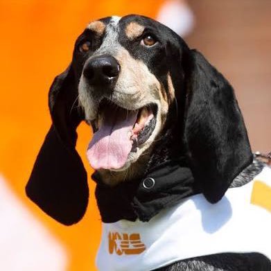 🍊🍊VOLS FOR LIFE! #NASCAR #di9 #F1 #GoVols #Braves | appalachian | hiker, explorer, adventure seeker | wendell berry fanatic |