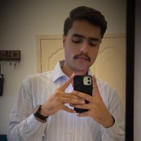 Syed Muhammad Uzair Abbas 🇵🇰🇵🇸 (@serialchil_ler) 's Twitter Profile