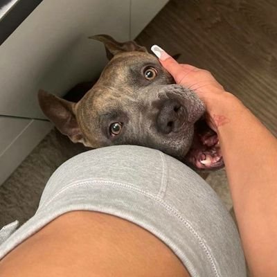 I love my dog. Write on telegram link below for my Dropbox, Sexting, VIP group and Live shows let's dogknot together🍆💦. don't DM if you ain't buying🥰🤑