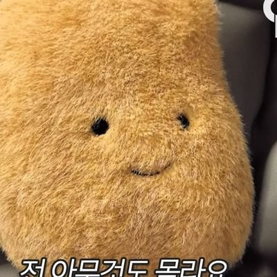 감샷추 Profile