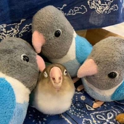 TF_crow419's profile picture. 지원이라는사람이 해킹했었네요.