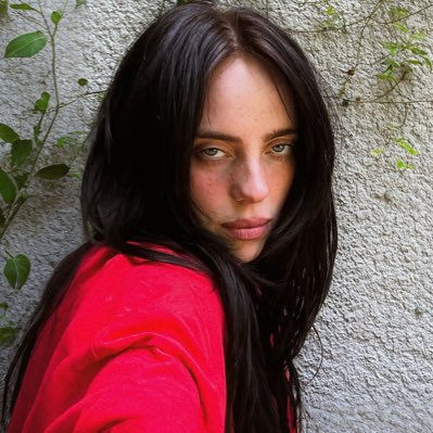 Billie Eilish & Harry Styles • I follow back other twtstans🫶
