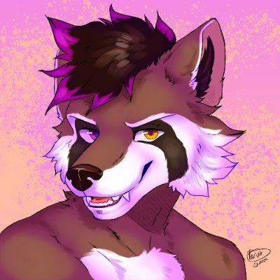 🔞 NSFW MDNI 🔞 | FURRY | Hornyposting | Raccon & Tanuki | Pan 🏳️🌈 | 29y | EN/PT