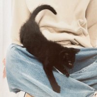 黒崎クロ🐾 (@yukabon_bkcat) 's Twitter Profile Photo