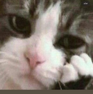 KingKrow0's profile picture. I find interesting and scary stuff and share them