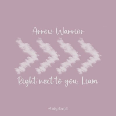 Arrow ❯❯❯❯ Warrior “I’ll try but I’ll miss you too much Liam” “Any room to hold you?” #JusticeForLiam 🕊️🤍
