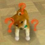 Austiii0's profile picture. he/him | 20 | literally a dog in real life | i do compsci at uni rn | #FutureOfUnemployment |