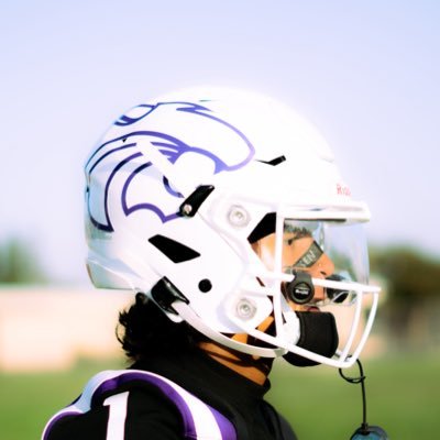 Braylon Robinson Profile