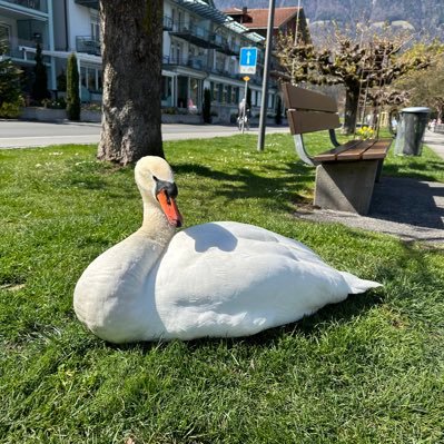 NashaChris888's profile picture. It’s a beautiful day